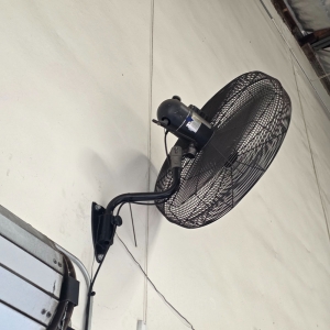 DAYTON 30" WALL FAN-116