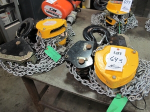 LOT (2) KONE CRANES CHAIN HOIST, 10-TON CAP (T-10) LOADING & HANDLING FEE $25-643
