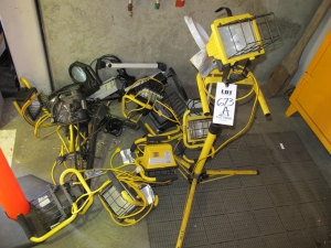 LOT ASST'D LIGHTS & EXTENSION CORDS (T-10) LOADING & HANDLING FEE $25-673A