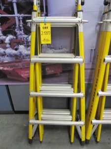 LITTLE GIANT ULTRA-LIGHT FIBERGLASS LADDER (G-20) LOADING & HANDLING FEE $10-2557